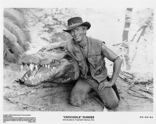 Paul hogan crocodile - paul,