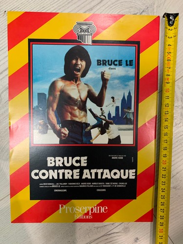 Affiche bruce contre attaque - affiche,