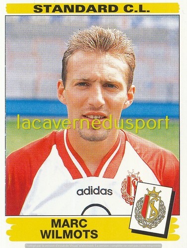 308 marc wilmots - #, standard