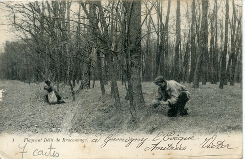 Carte postale postcard - /,