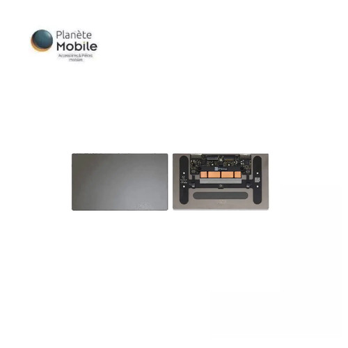 Trackpad gris sidéral - sidéral, pour