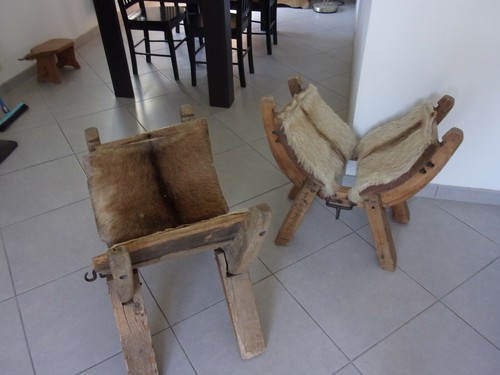 Bâts ânes recouverts - bâts,
