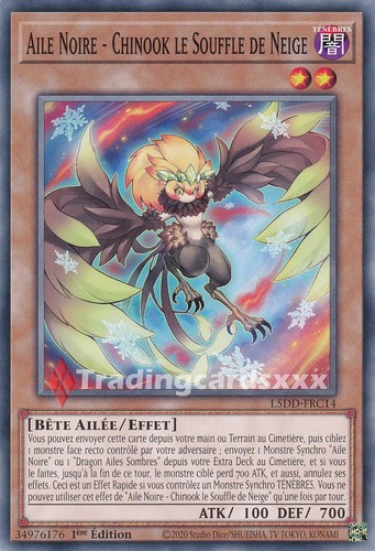 Aile noire chinook - noire,