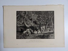 Gravure de Langeval : HERBAGE