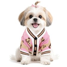 Pull Chien Saint Valentin Pull