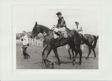 Course Hippique Tiercé Jockey