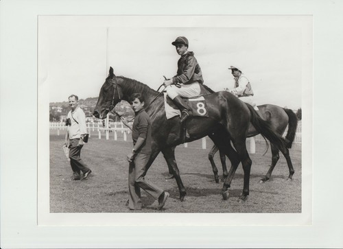 Course hippique tiercé jockey - course,