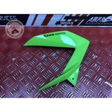 Cache sur flanc de carénage