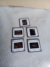 Photos Diapositives Érotisme Vintage 