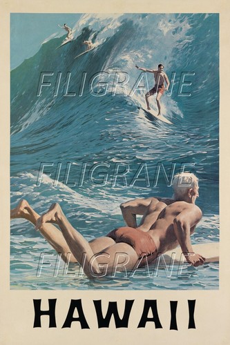 Hawaii surf rycq poster hq - surf,