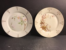 A Pair Of Antique Limoges Hand