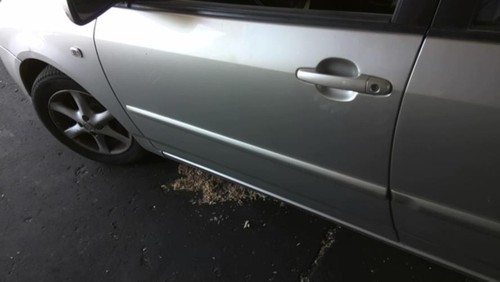 Porte avant gauche toyota - porte,