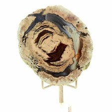 Lithophyse. 329.0 ct. Massif