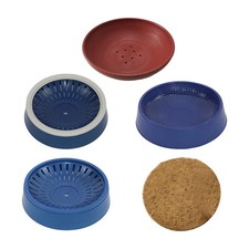 Nid d'oiseau creux Pigeon