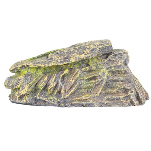 Leopard gecko supplies - leopard,