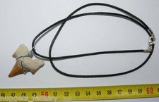 Collier pendentif dent de requin fossile ( 004 )