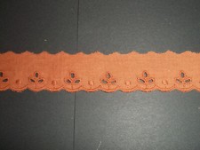 Coupon de dentelle broderie