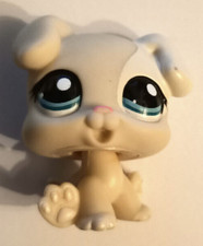 Litllest Petshop chiot Boxer #1706 Hasbro authentique