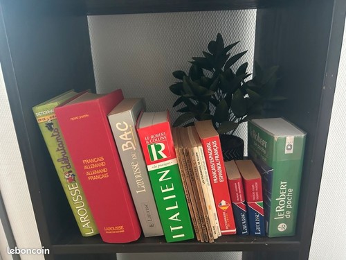 Lot dictionnaires larousse - lot,