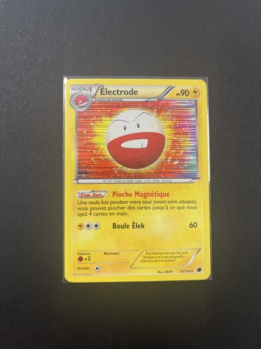 électrode holo 116 - électrode,