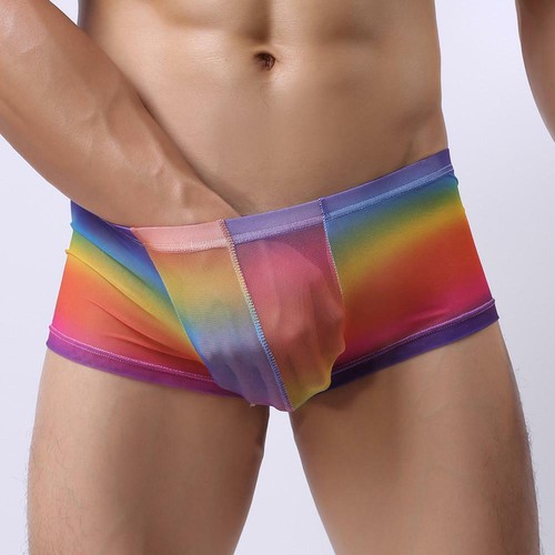Boxer arc ciel transparent - en,