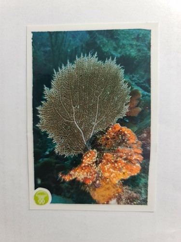 Image sticker autocollant