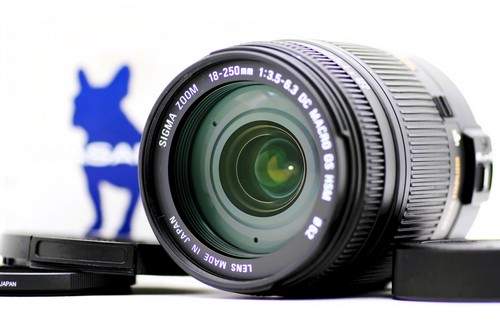 sigma 18 250 canon