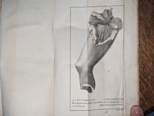 livre ancien- John Bell -