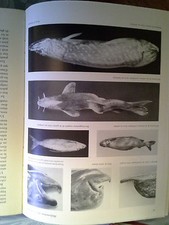 Le grand livre de la pêche et