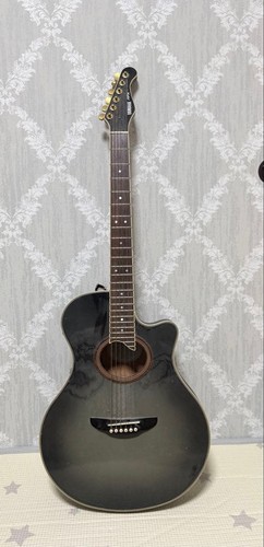 Guitare acoustique électrique