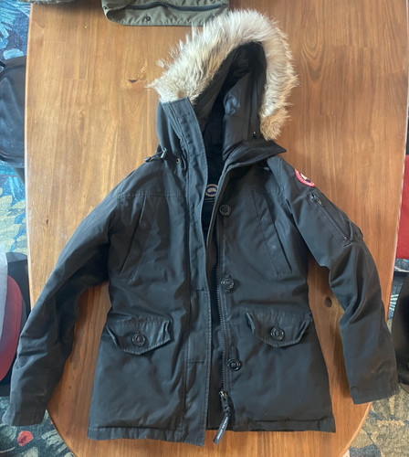 Canada goose montebello - goose,