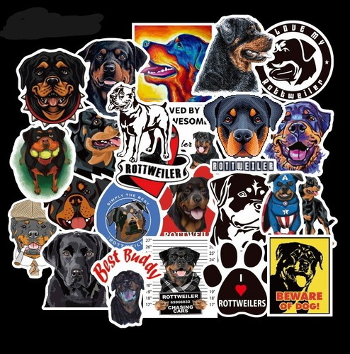 Pièces rottweiler - ⭐,