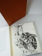 OVIDE. Les Amours. Lithographies de Pierre Letellier. Bibliophiles Comtois 1973