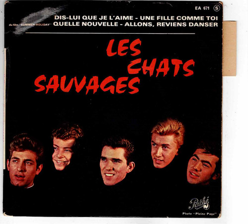 Les chats sauvages dis lui - sauvages,