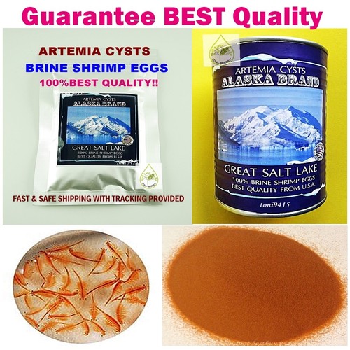 Best artemia cysts 50g - best, brine