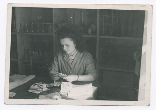 Snapshot photographie vintage - snapshot,