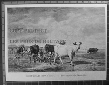 DIETERLE BANCS DE BERVILLE VACHES  TABLEAU ART gravure 1893 antique print 