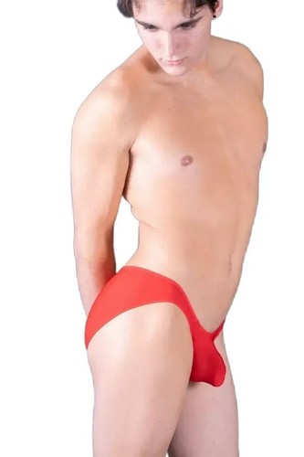 Gregg homme brief torridz - gregg,