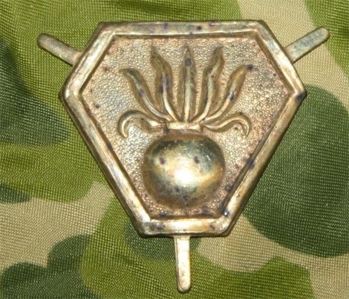 Insigne corps - insigne, du