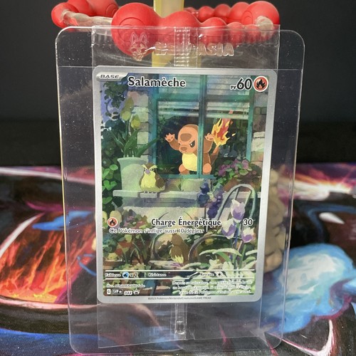 Carte pokemon - 🇫🇷,
