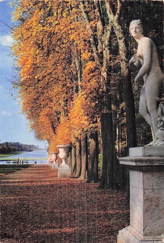 Versailles tapis vert et - le,