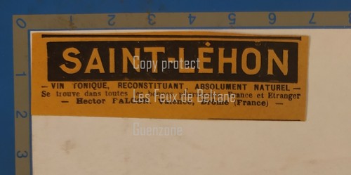 Saint lehon vin tonique - vin,