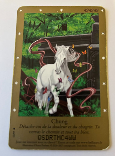 C85 carte bella - c85/,