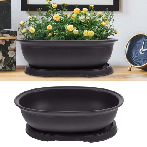 Pot culture avec plateau - avec,