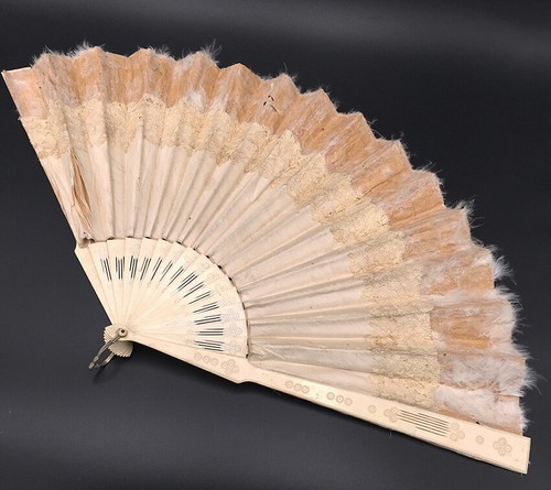 Grand eventail ancien feuille - grand,