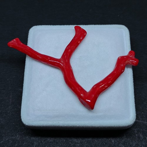 Bâton branche poli - branche, corail