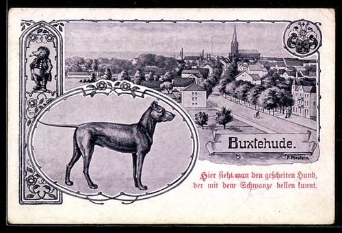 Buxtehude vue locale - locale,, chien