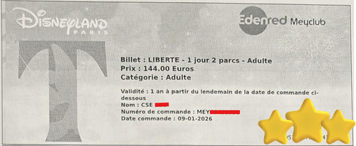 Disneyland paris 2 billets - disneyland,