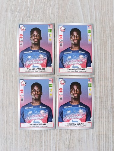 Panini foot 2019 - 2020, timothy