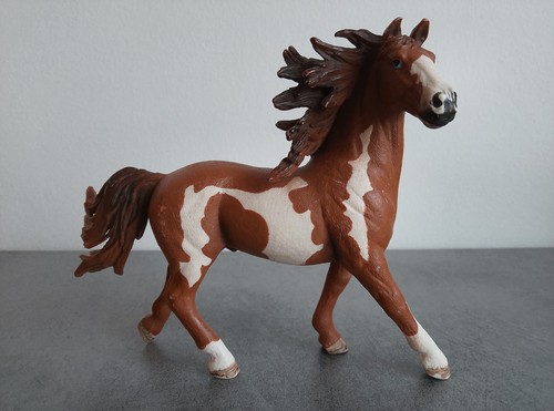 Cheval pinto marron - , blanc